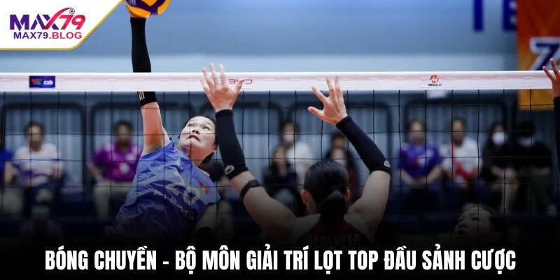 Bóng chuyền - Bộ môn giải trí lọt top đầu sảnh cược