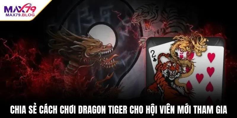 Chia sẻ cách chơi Dragon Tiger cho hội viên mới tham gia