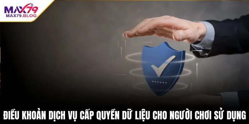 Điều khoản dịch vụ cấp quyền dữ liệu cho người chơi sử dụng