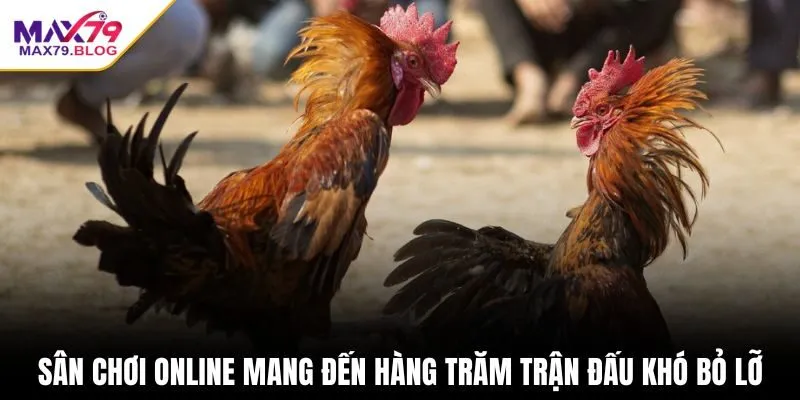 Sân chơi online mang đến hàng trăm trận đấu khó bỏ lỡ