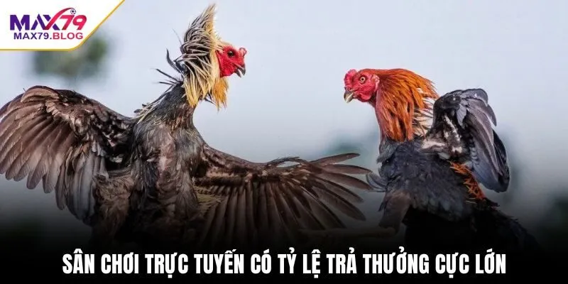 Sân chơi trực tuyến có tỷ lệ trả thưởng cực lớn