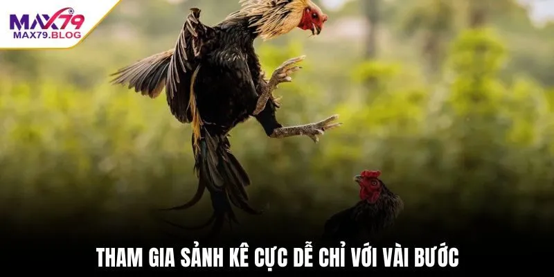 Tham gia sảnh kê cực dễ chỉ với vài bước