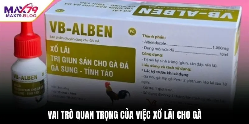 Vai trò quan trọng của việc xổ lãi cho gà